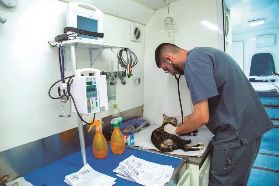 Santana de Parnaíba abre inscrições para castração gratuita de cães e gatos