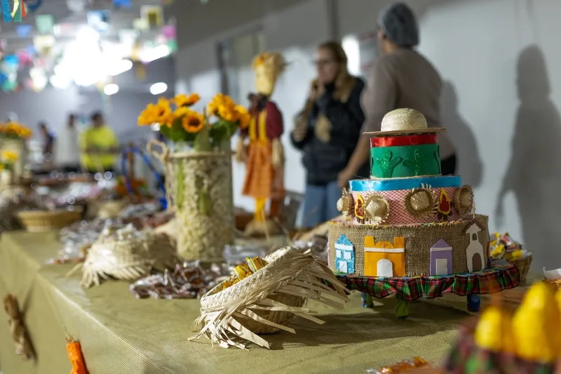 Solidariedade e alegria marcam o tradicional Arraiá do Fundo Social