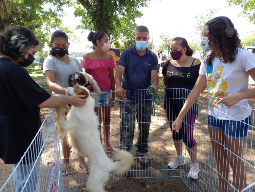 Dia Animal reunirá serviços gratuitos aos pets de Barueri