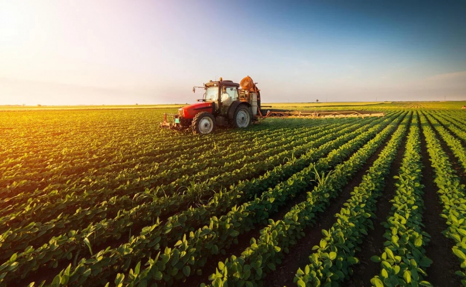 São Paulo lidera exportação agropecuária do Brasil em 2024